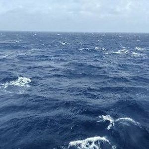 Meet your Posher, Deshon